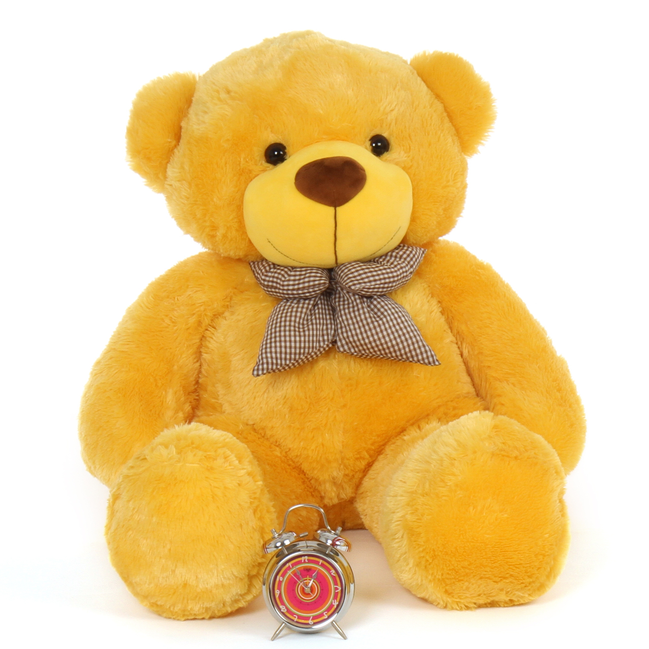 snuggly teddy
